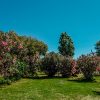 caravaning herault