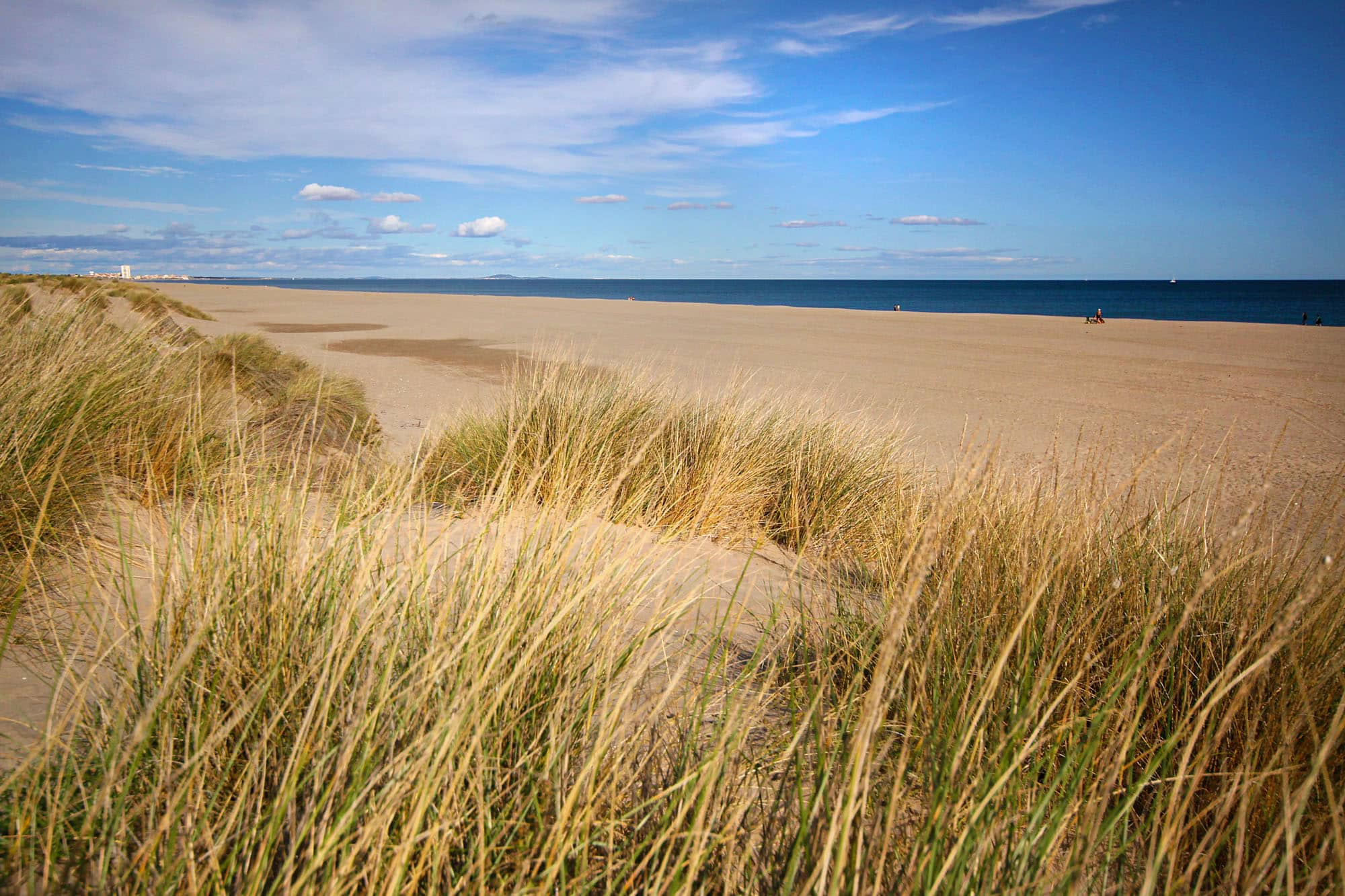 Strand von Vendres im Hérault, Strandhafer, Dünen, Mittelmeerküste