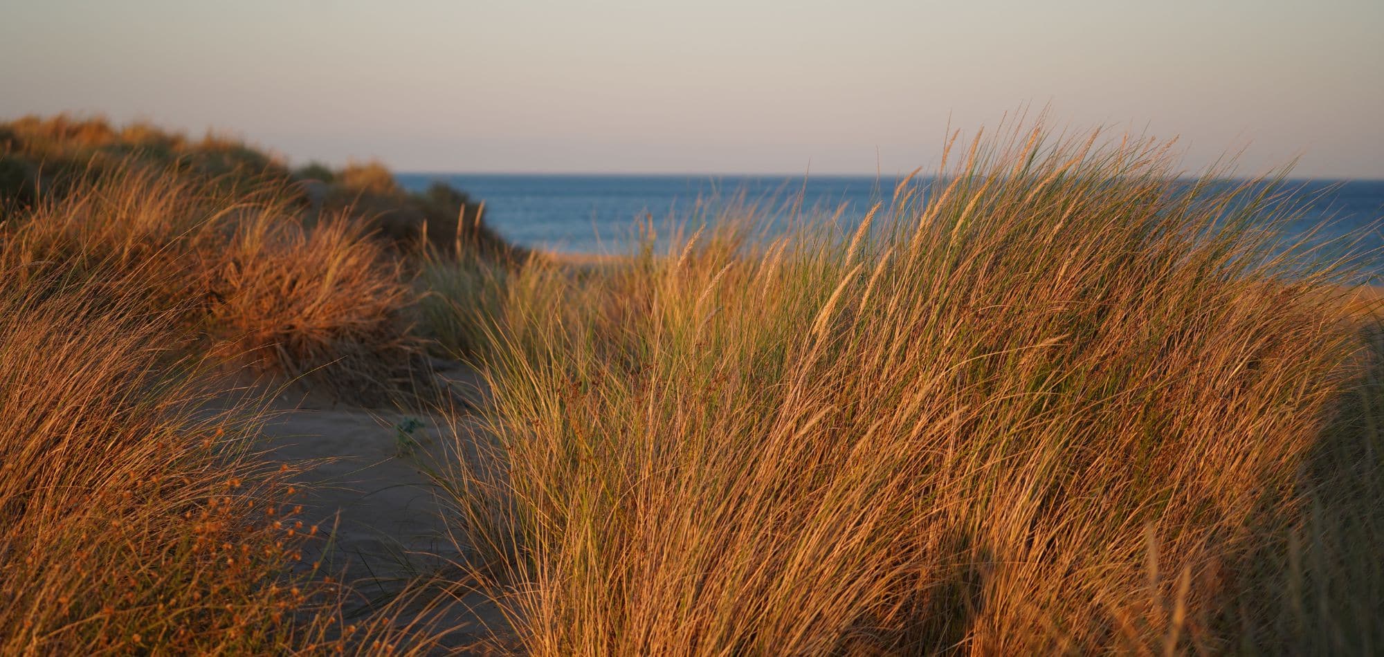 Sérignan plage et nature