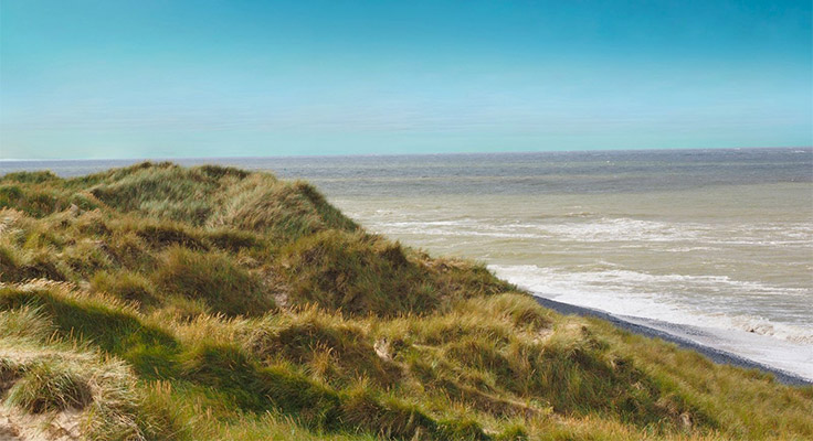 R&eacute;serve Naturelle des Orpelli&egrave;res