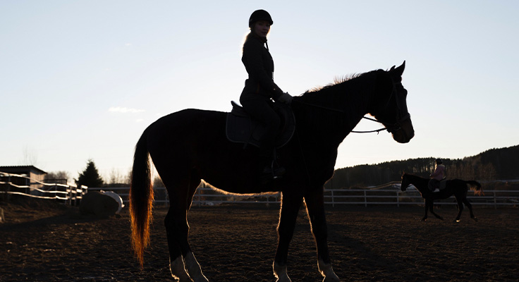 Ranch &agrave; Portiragnes, &agrave; proximit&eacute; du camping La Plage et le Bord de Mer