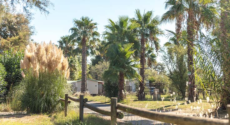 Camping pas cher pr&egrave;s de Portiragnes